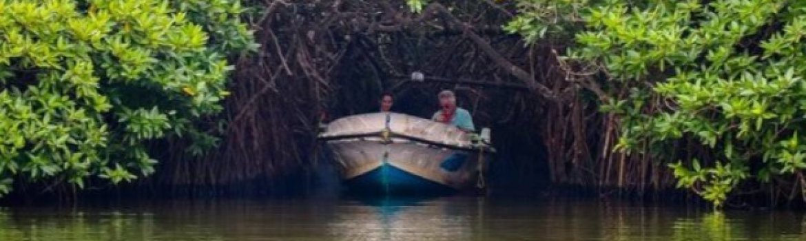 Avana Boat Tours