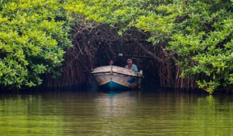 Avana Boat Tours