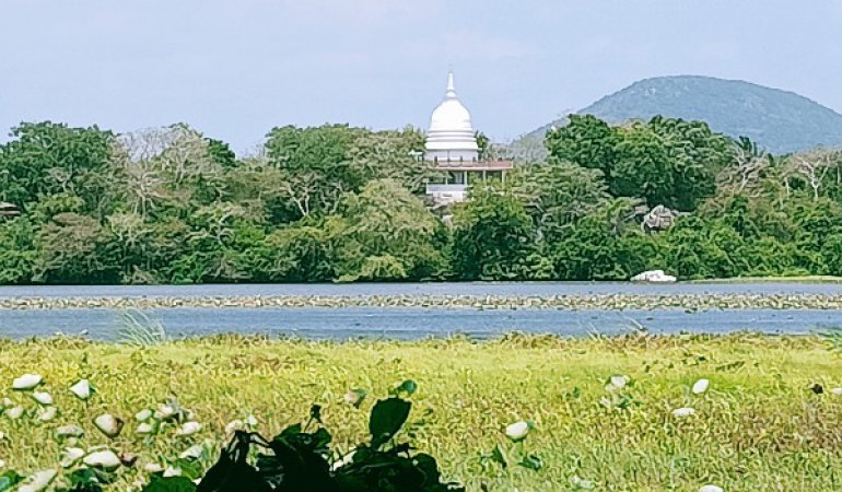 Sweha Tours