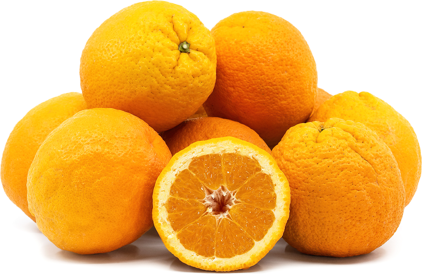 Fresh Orange